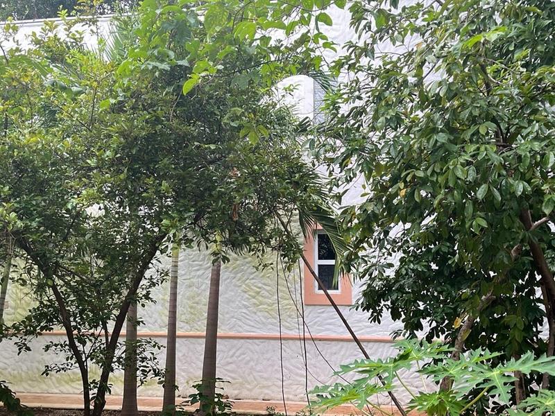 Charming 2-Bedroom Garden House image 12 of 13