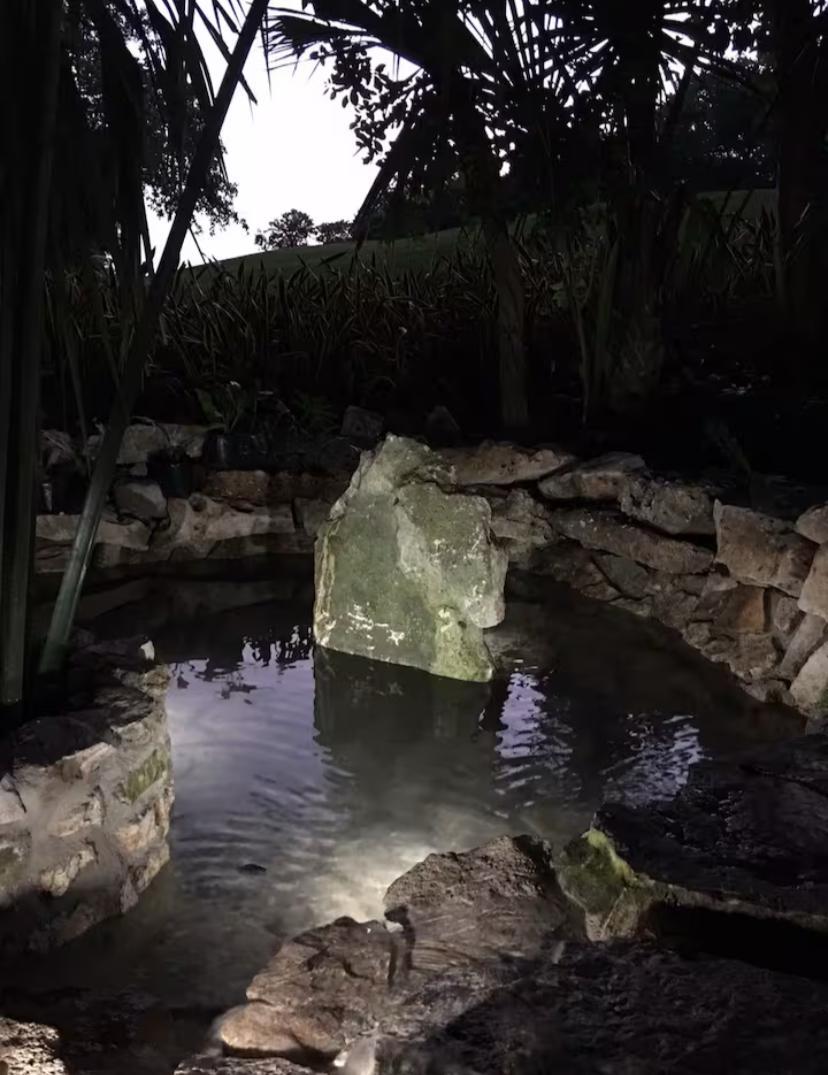 Arbolada Playacar Condo For Rent image 26 of 38