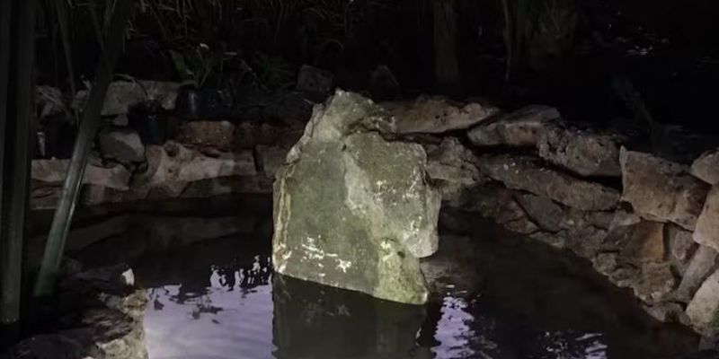 Arbolada Playacar Condo For Rent image 26 of 38