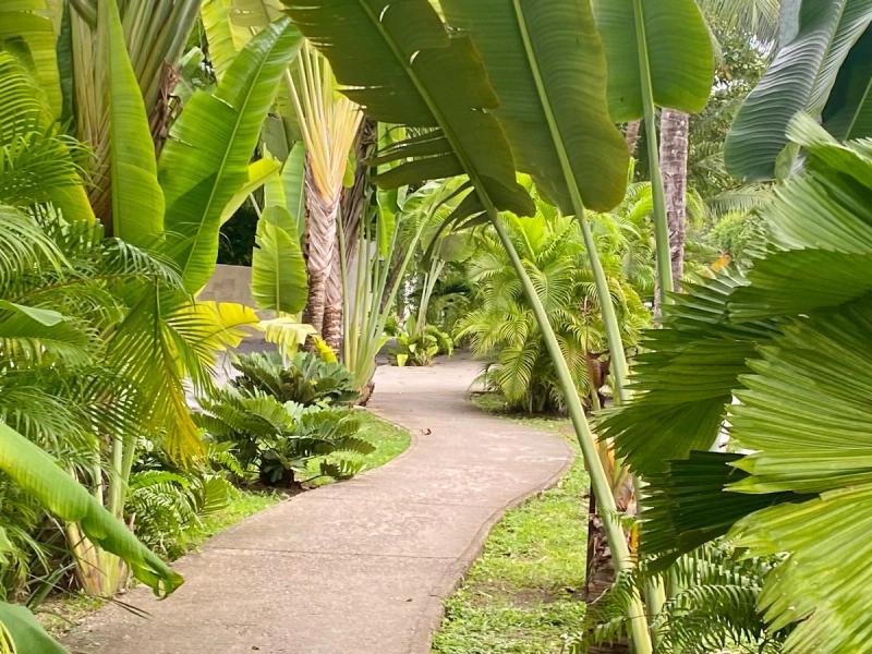 Vaiven Del Viento For Sale image 36 of 39