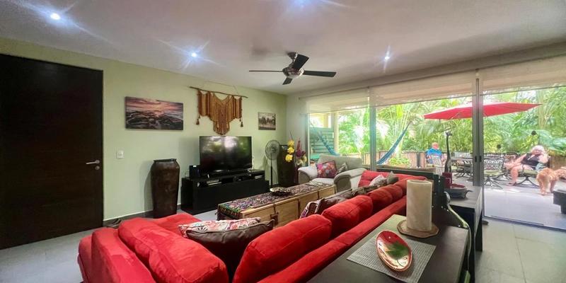 Vaiven Del Viento For Sale image 15 of 26