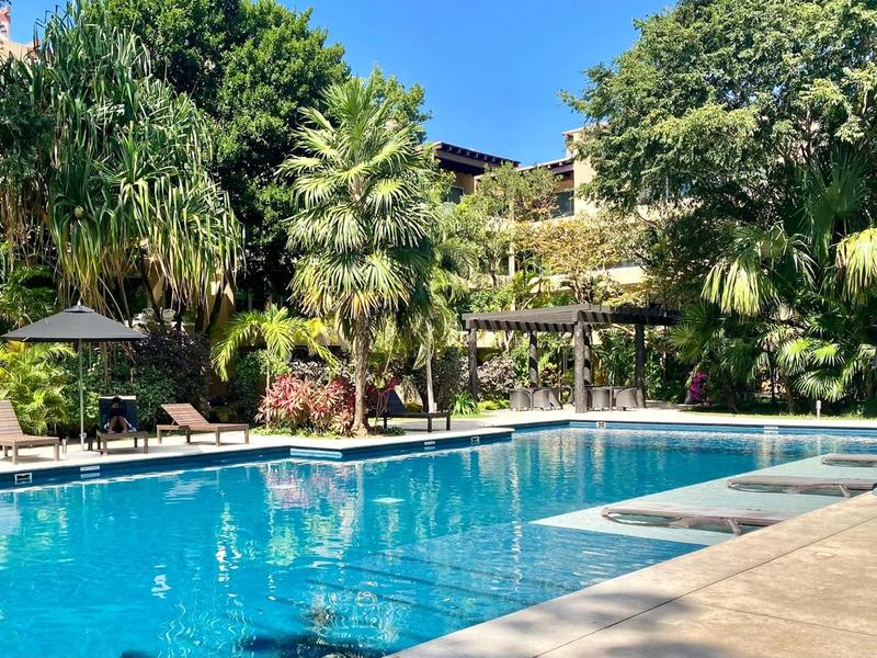 Vaiven Del Viento For Sale image 27 of 39