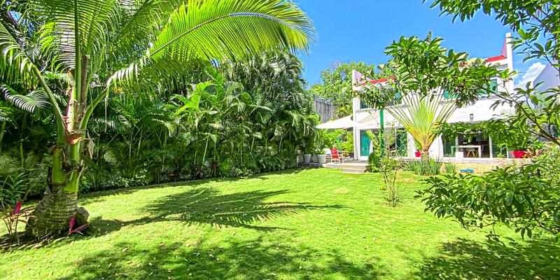 Casa Dragon image 2 of 41