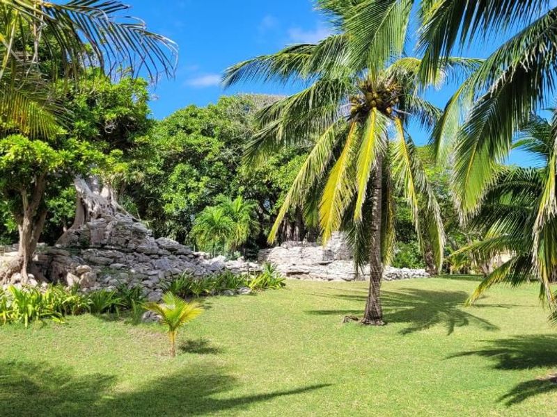 Castillo De Amor Playacar Phase 1 image 17 of 59