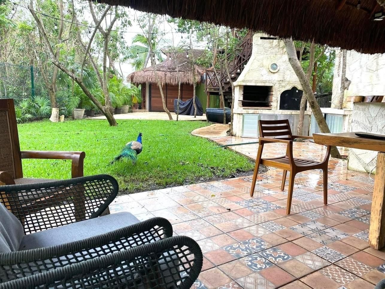 Villa Peacock Playacar For Sale image 25 of 28