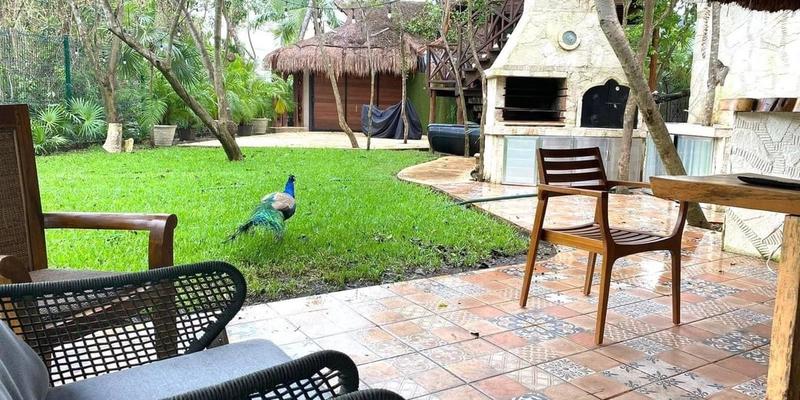 Villa Peacock Playacar For Sale image 25 of 28