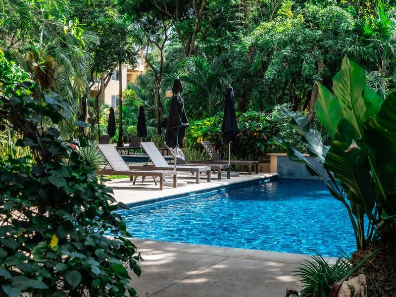 Vaiven Del Viento Playacar Rental image 3 of 35