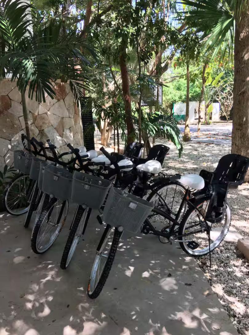 Arbolada Playacar Condo For Rent image 34 of 38