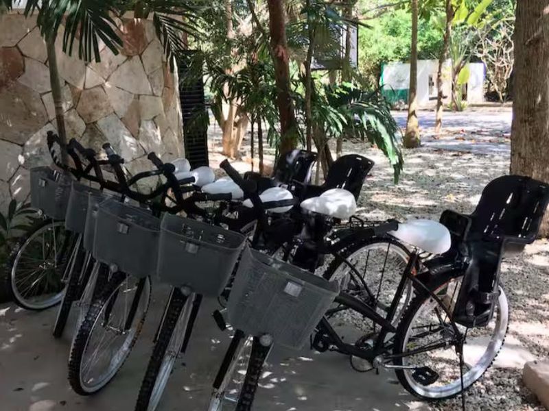 Arbolada Playacar Condo For Rent image 34 of 38