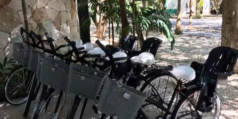 Arbolada Playacar Condo For Rent image 34 of 38