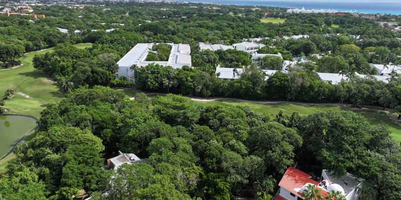 Playacar Huge Land For Sale image 7 of 14