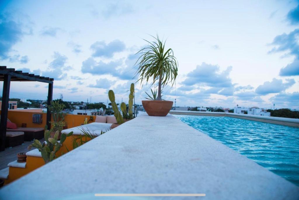 Casa La Galeria Hotel image 2 of 23