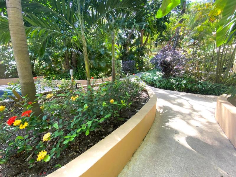 Vaiven Del Viento For Sale image 23 of 39