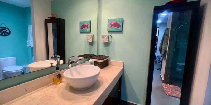 Vaiven Del Viento For Sale image 14 of 26