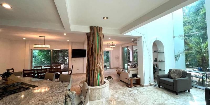 Villa Peacock Playacar For Sale image 6 of 28