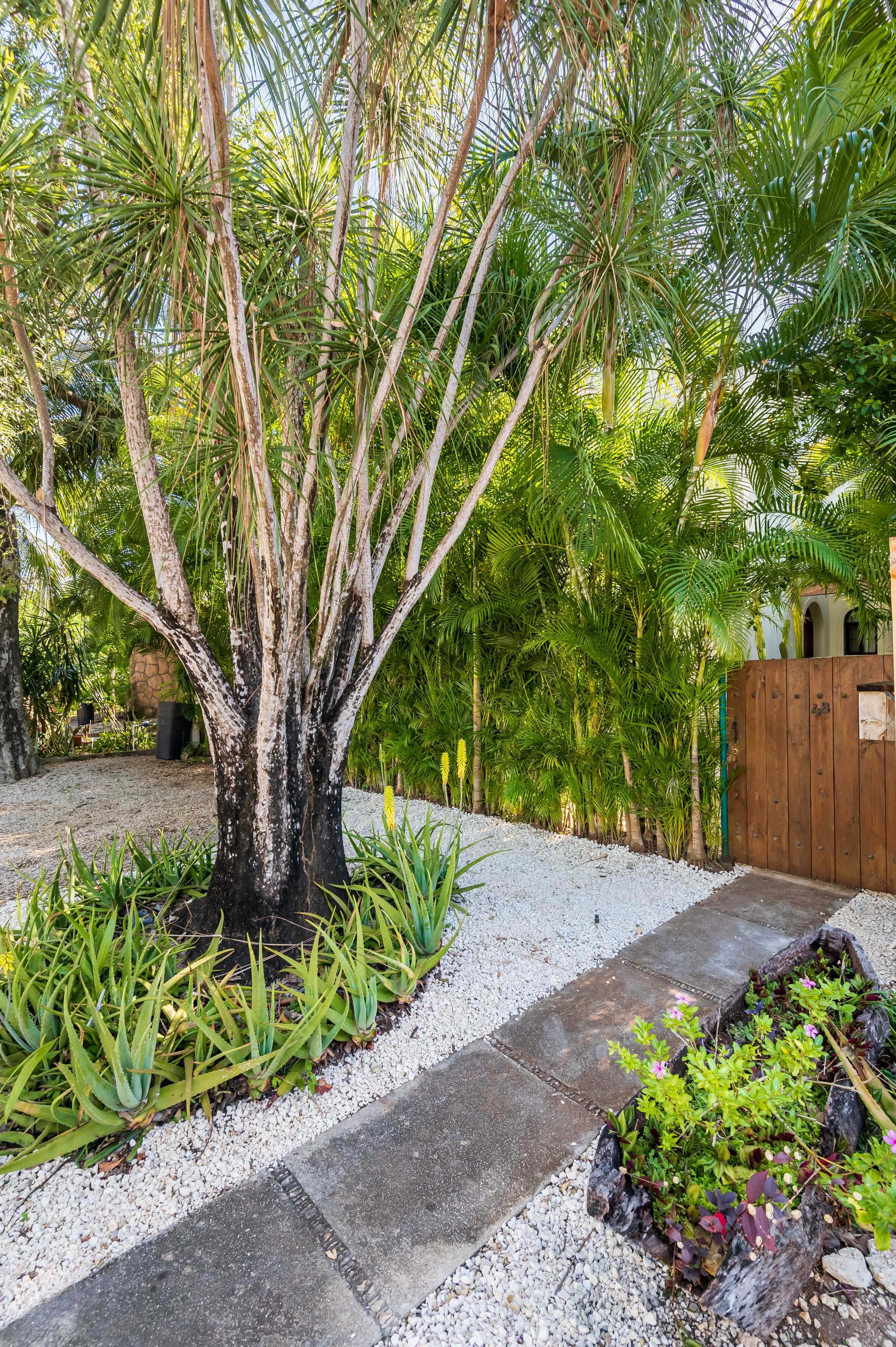 Club Real Playacar 3 Beds Villa image 50 of 50