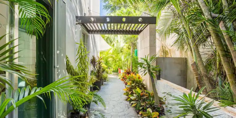 Casa Dragon image 39 of 41