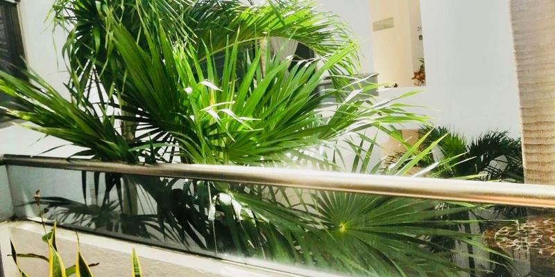 Penthouse in Playacar image 9 of 17