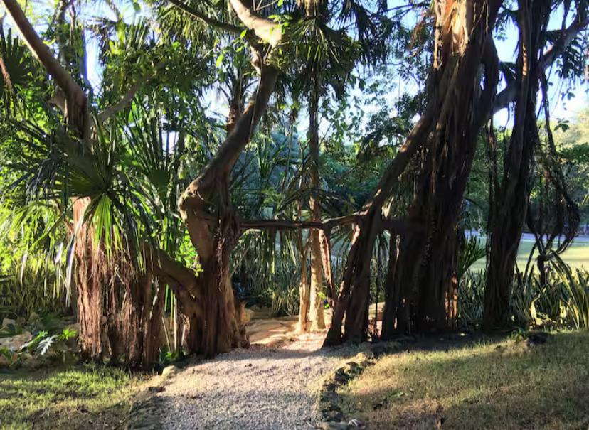 Arbolada Playacar Condo For Rent image 27 of 38