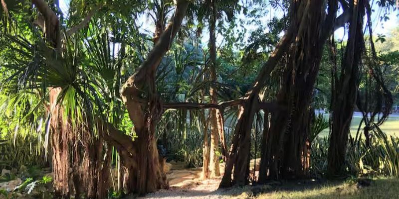 Arbolada Playacar Condo For Rent image 27 of 38