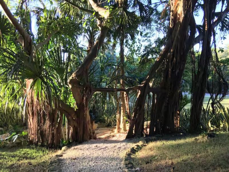 Arbolada Playacar Condo For Rent image 27 of 38