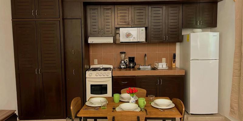 Playacar 1 Beds Apartment  image 1 of 11