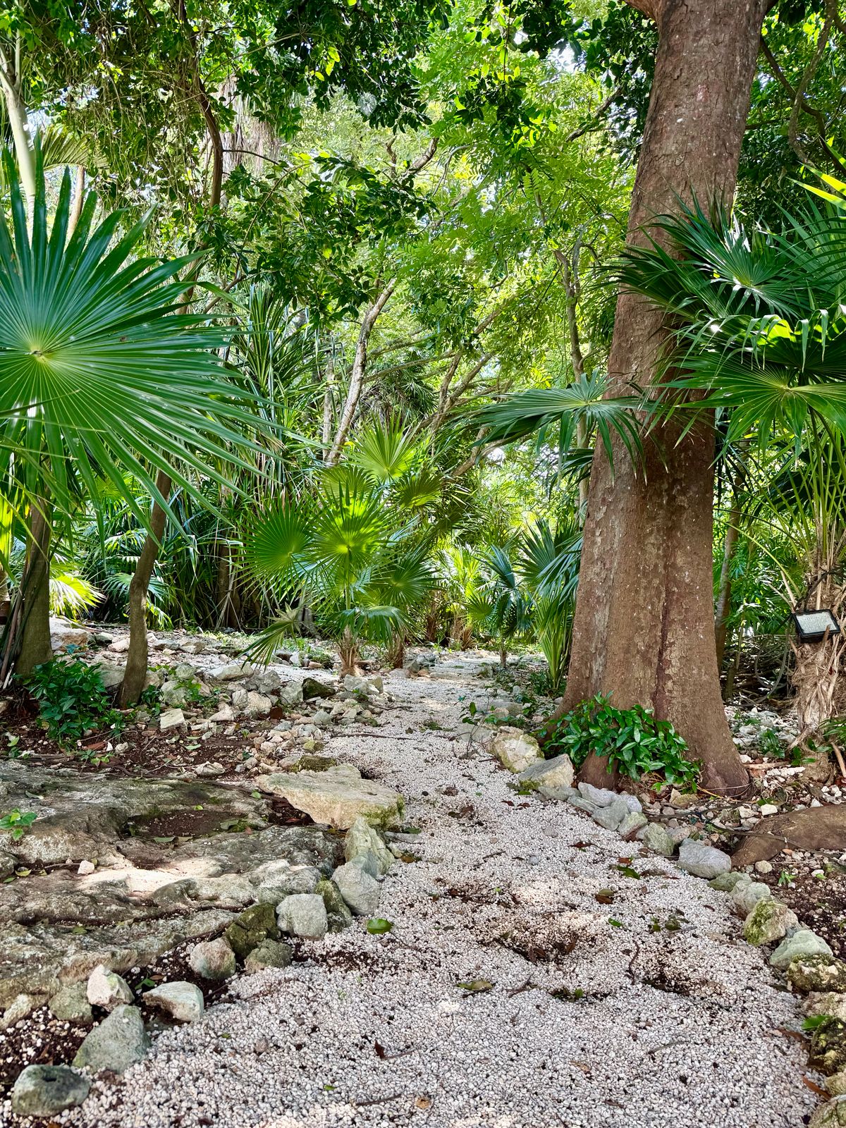 Hacienda Home Playacar image 16 of 35