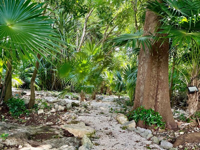 Hacienda Home Playacar image 16 of 35