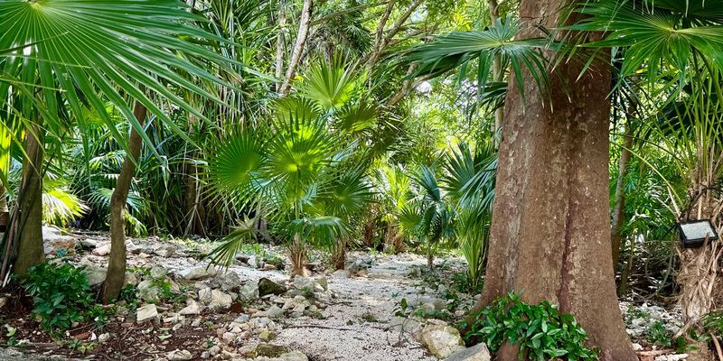 Hacienda Home Playacar image 16 of 35