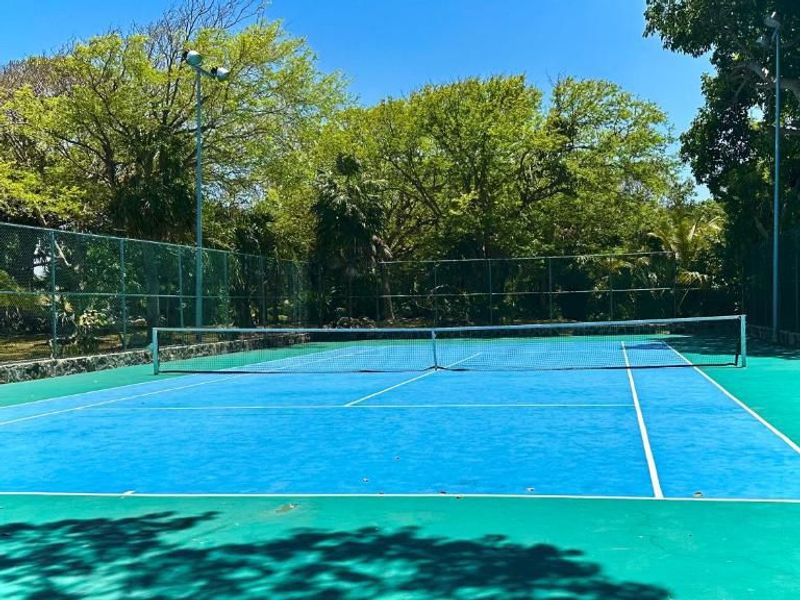 Castillo De Amor Playacar Phase 1 image 34 of 59