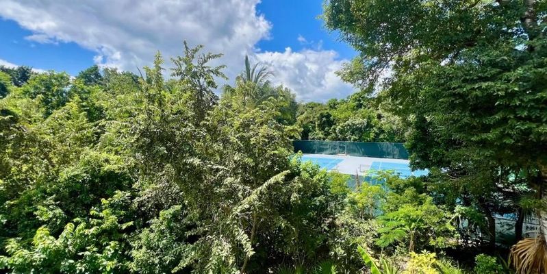 Modern Club Real Jungle Villa image 44 of 87