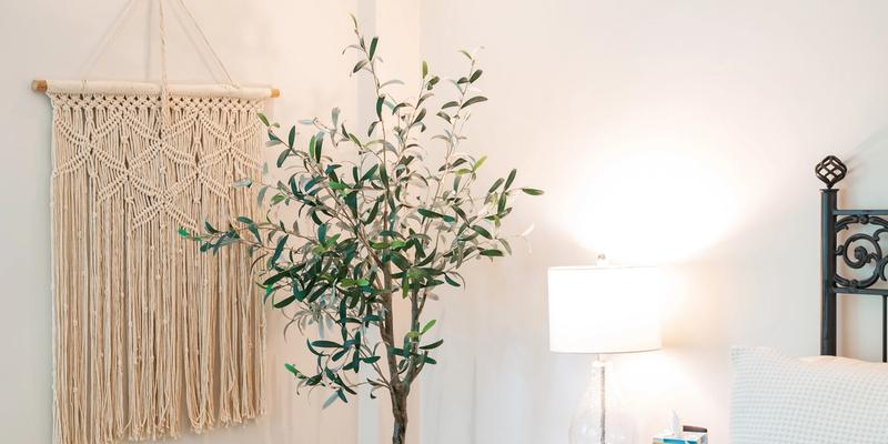 Casa Sisal Playacar image 16 of 75