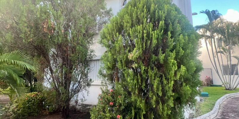 Mayamar Playacar House  image 19 of 20