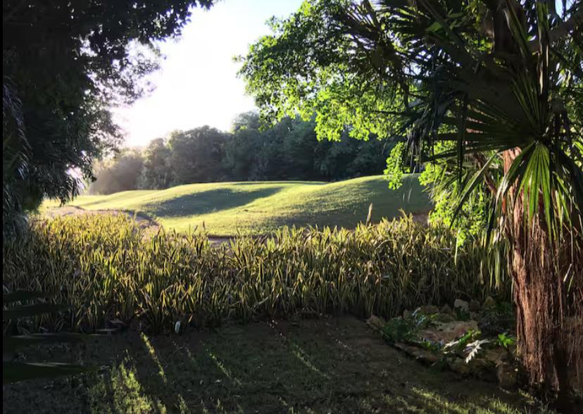 Arbolada Playacar Condo For Rent image 28 of 38