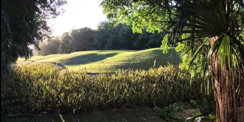 Arbolada Playacar Condo For Rent image 28 of 38