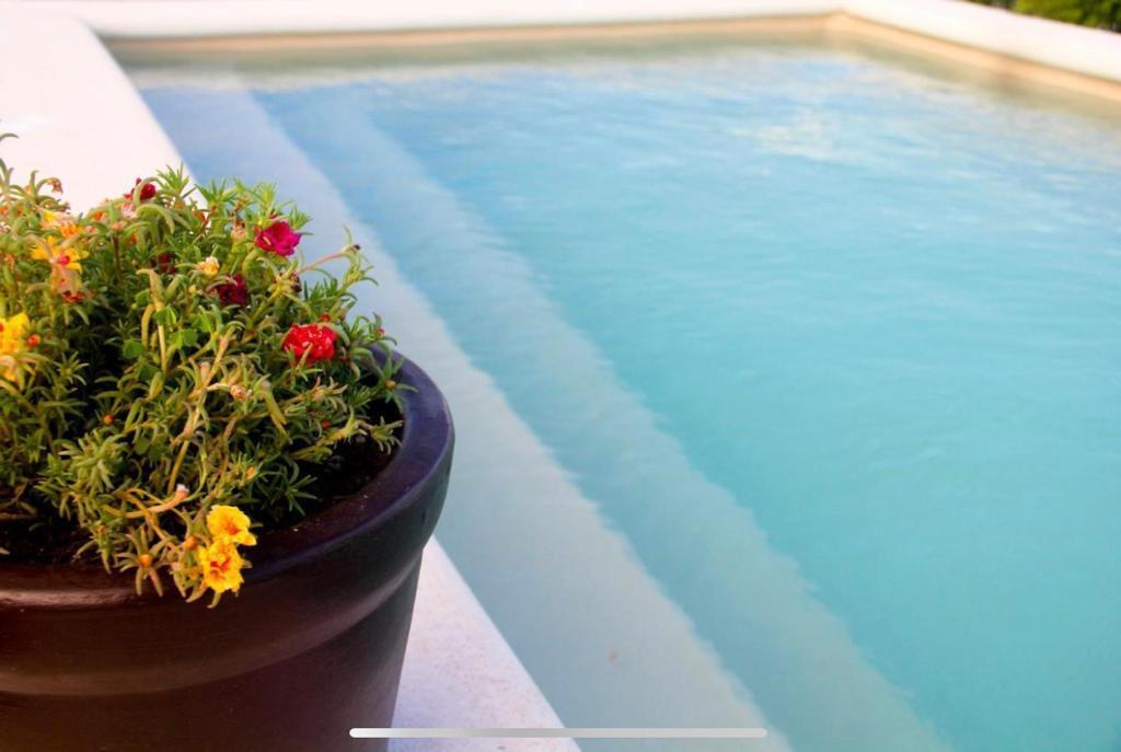 Casa La Galeria Hotel image 8 of 23