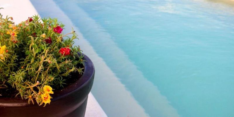 Casa La Galeria Hotel image 8 of 23