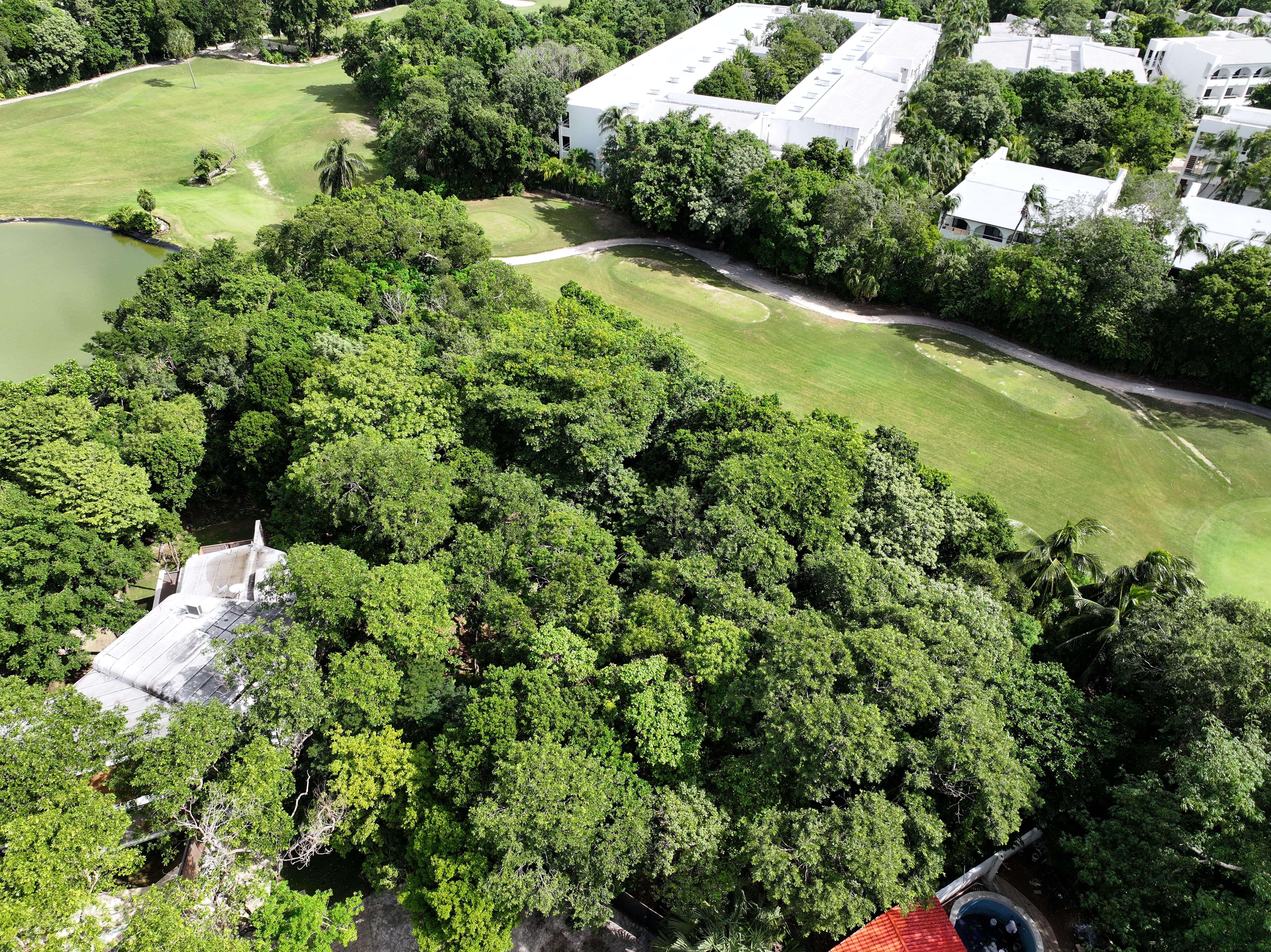 Playacar Huge Land For Sale image 12 of 14