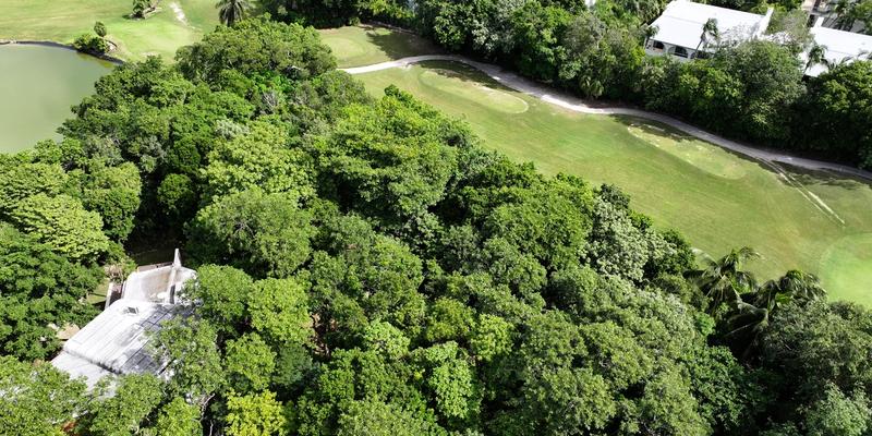 Playacar Huge Land For Sale image 12 of 14