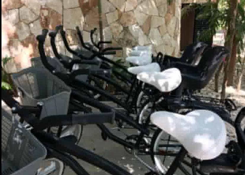 Arbolada Playacar Condo For Rent image 32 of 38