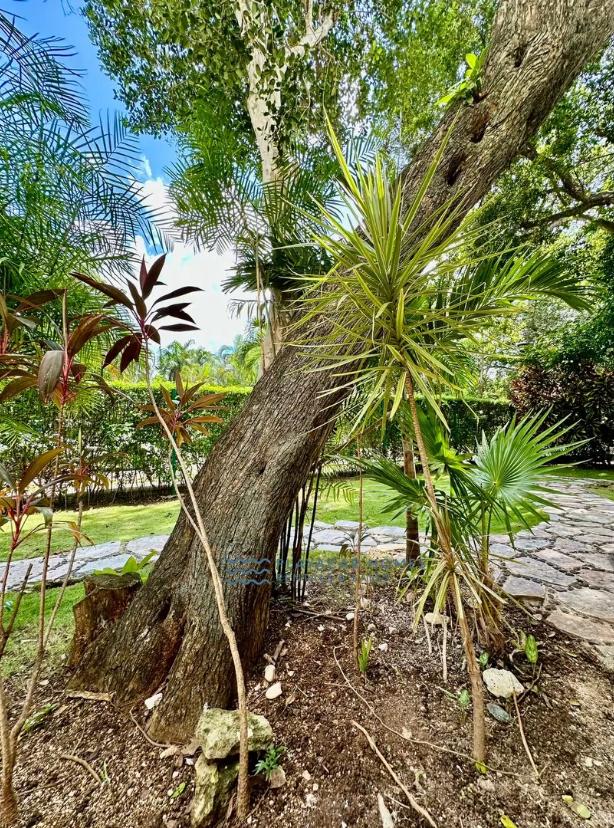 Spacious Villa Playacar image 38 of 43