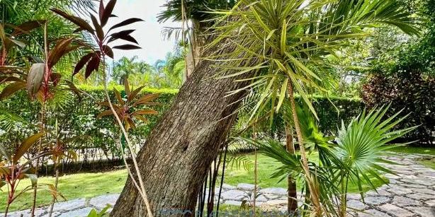 Spacious Villa Playacar image 38 of 43