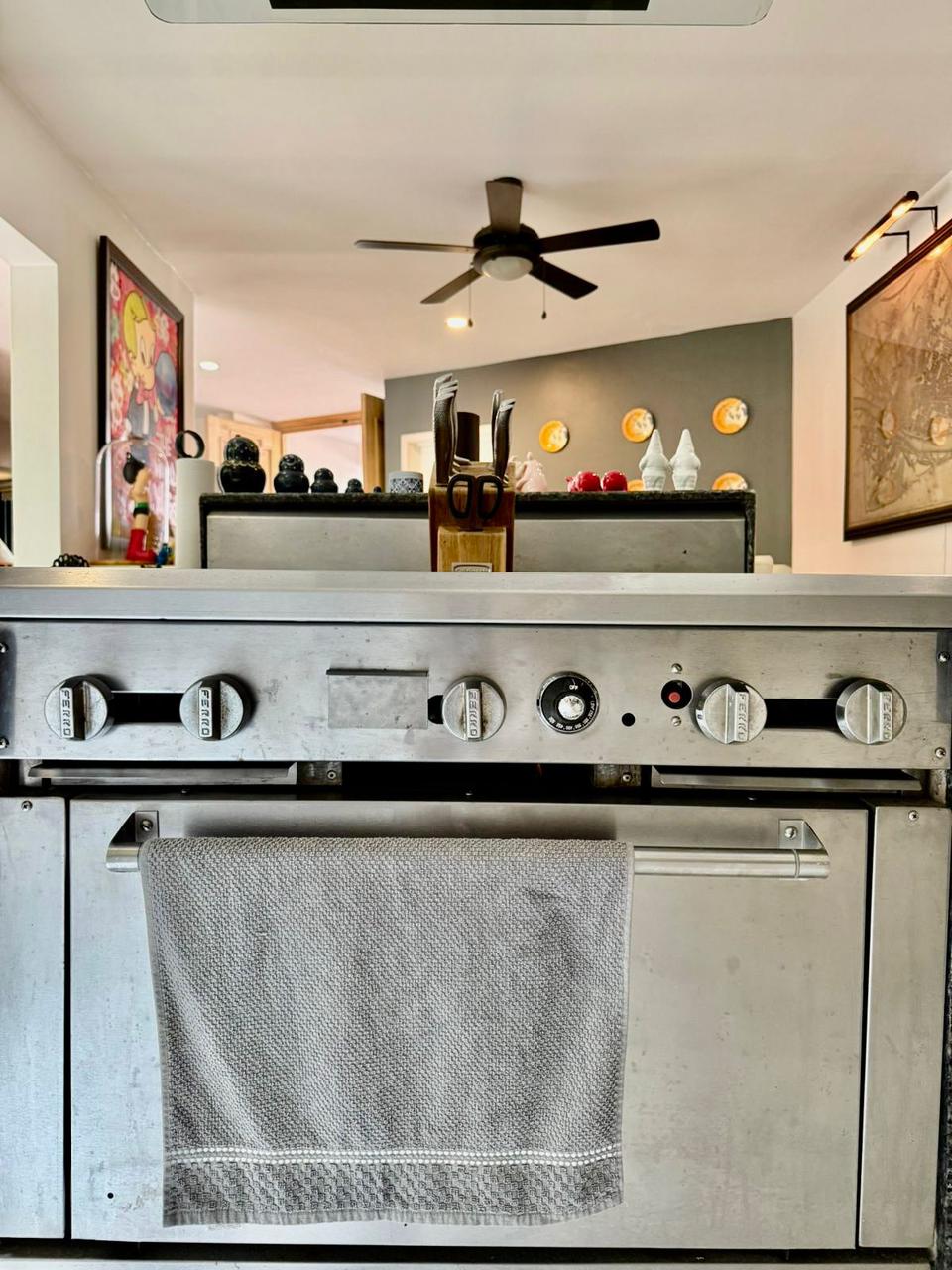 Elegant Villa in Playacar image 7 of 50