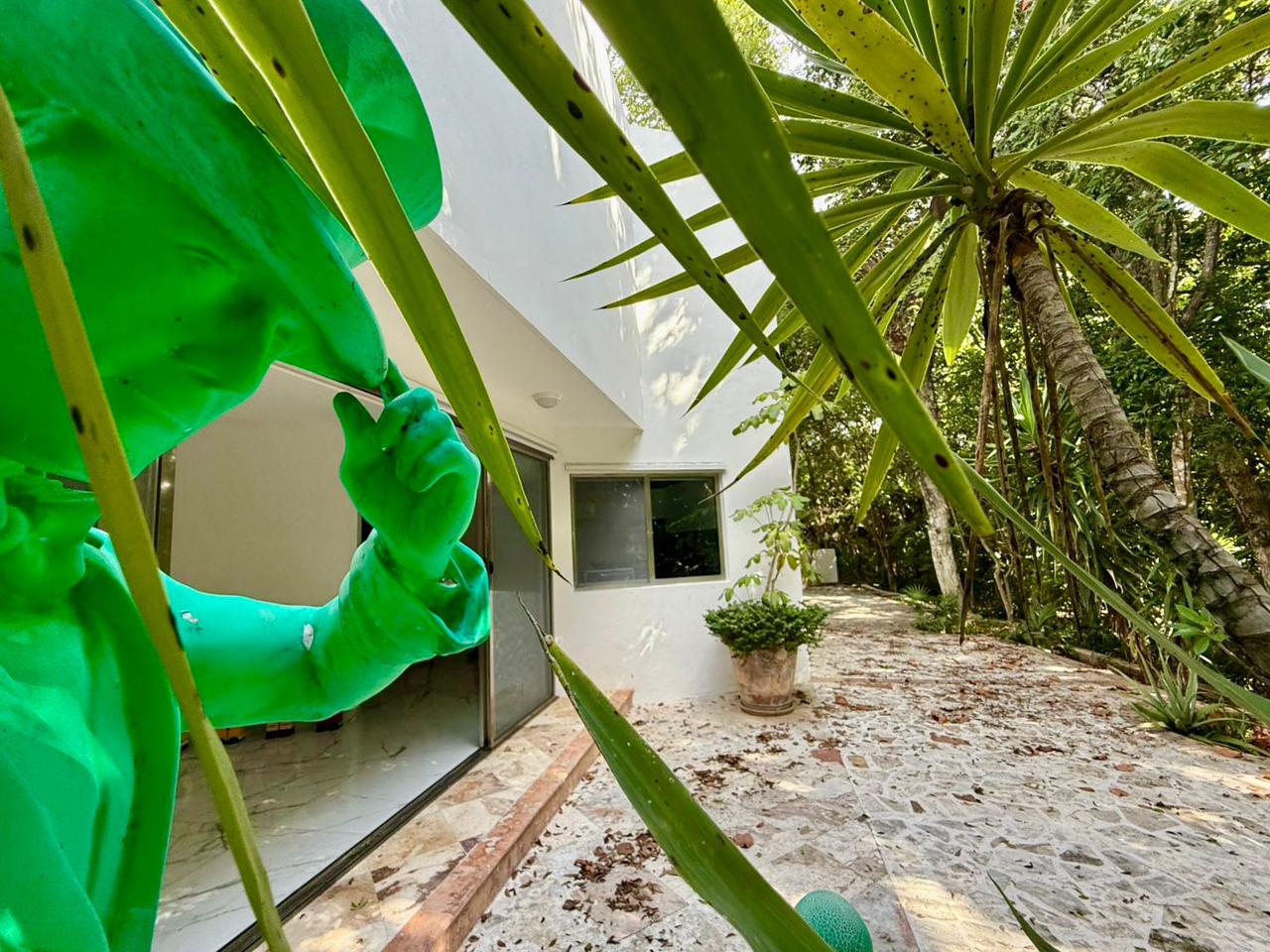 Elegant Villa in Playacar image 14 of 50