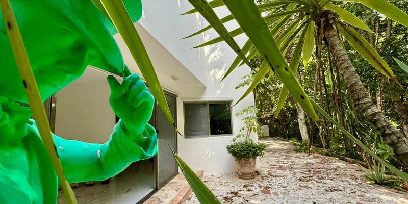 Elegant Villa in Playacar image 14 of 50