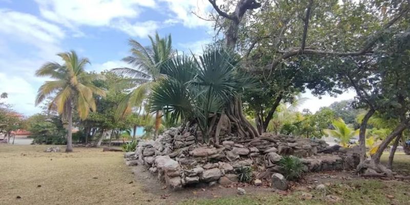 Casa Luna Maya image 22 of 50