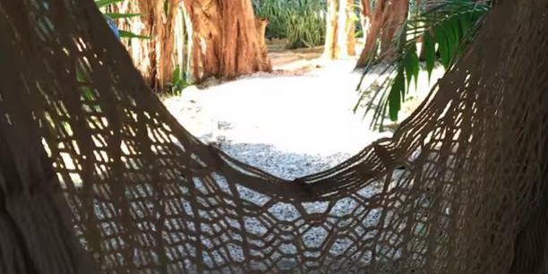 Arbolada Playacar Condo For Rent image 21 of 38