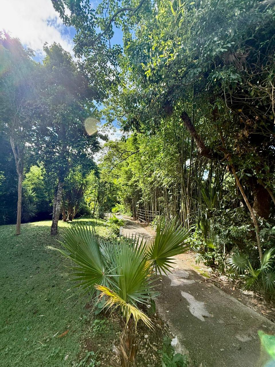 Elegant Villa in Playacar image 5 of 50