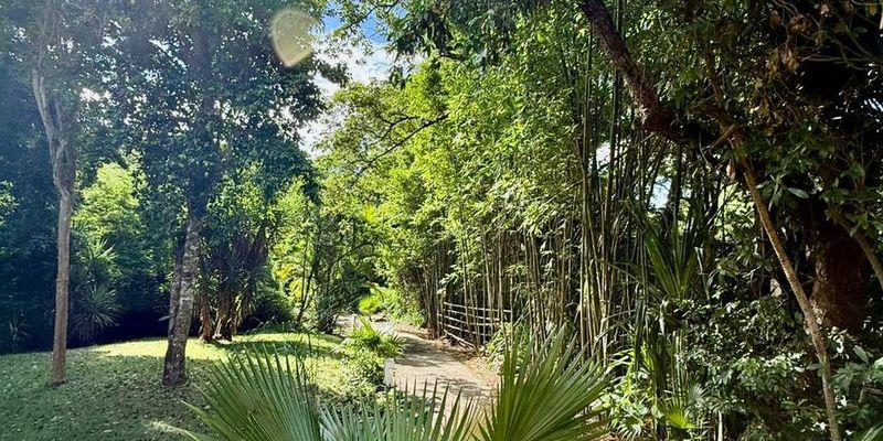 Elegant Villa in Playacar image 5 of 50