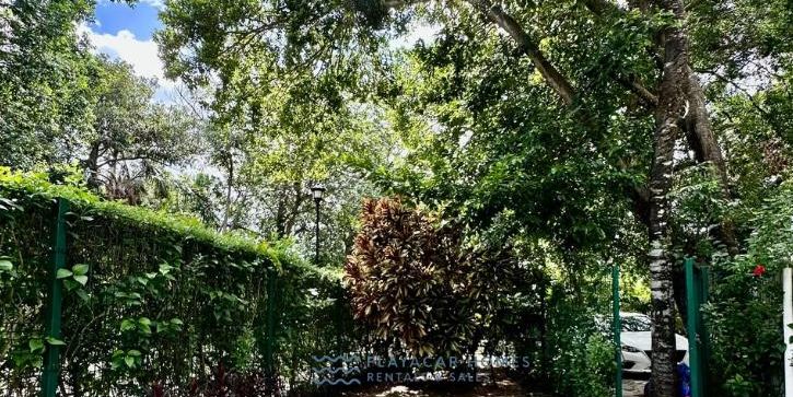 Spacious Villa Playacar image 40 of 43